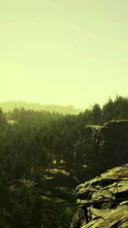 Nature view from a rocky cliff in a forest during golden hour light