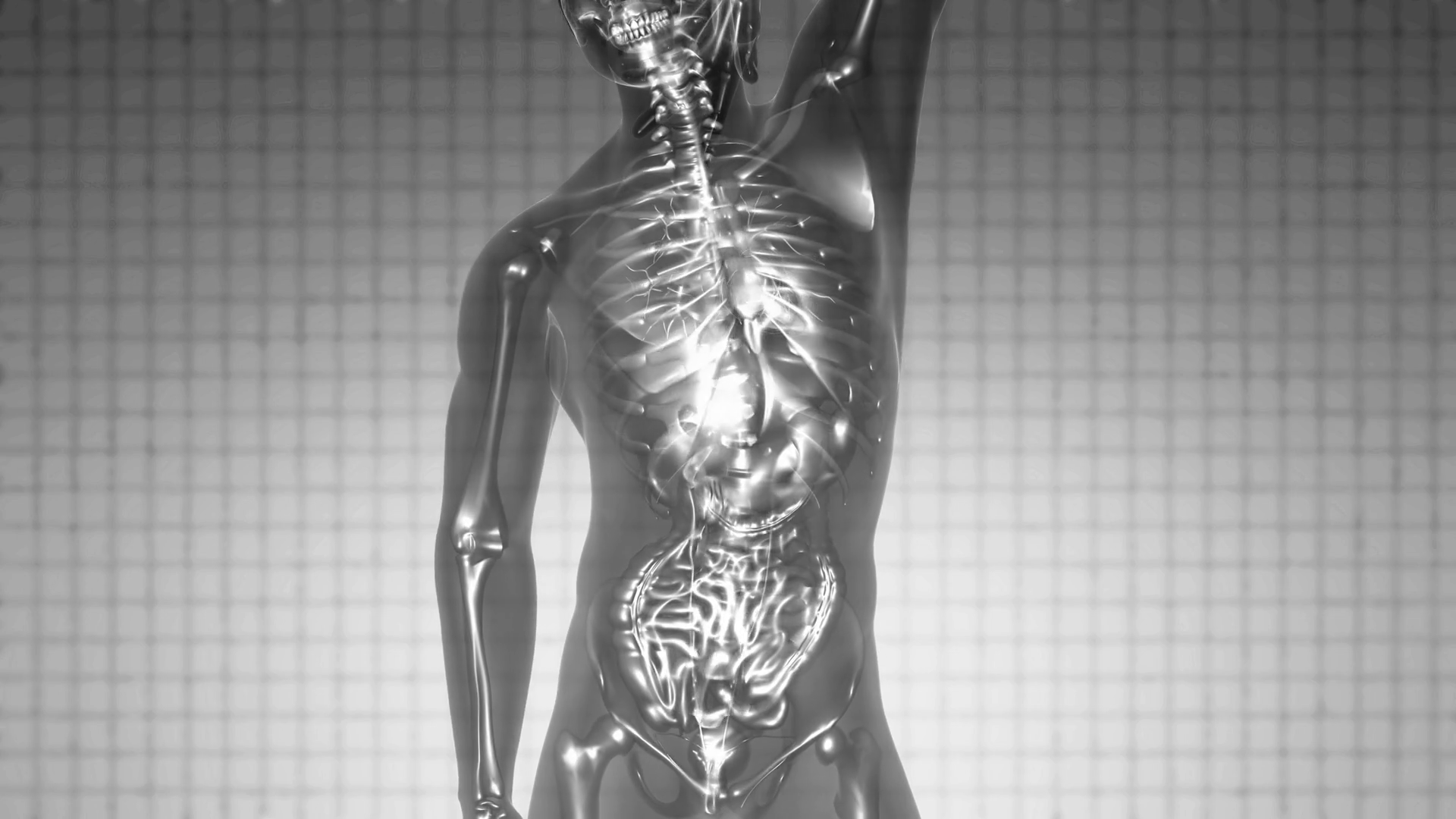 Loop Science Anatomy Tomography Scan Of Human Body Motion Background 00