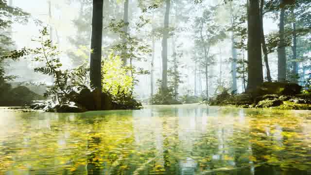 Sweden Nature | Effects and Overlays motion backgrounds - Storyblocks