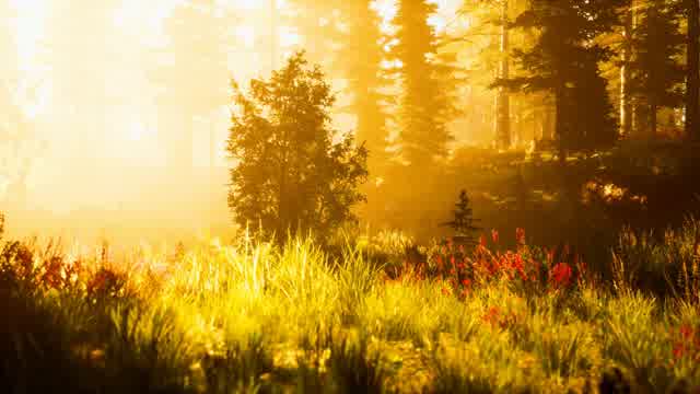 Rising Sun | Effects and Overlays motion backgrounds - Storyblocks