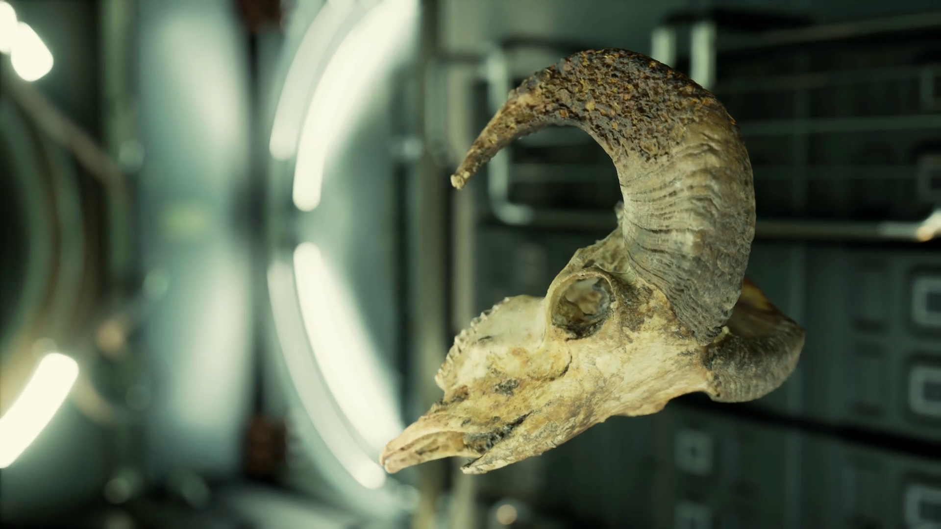 Skull Of Dead Ram In International Space Stock Motion Graphics SBV ...