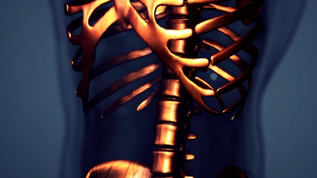 Joints Animation Stock Footage: Royalty-Free Video Clips - Storyblocks