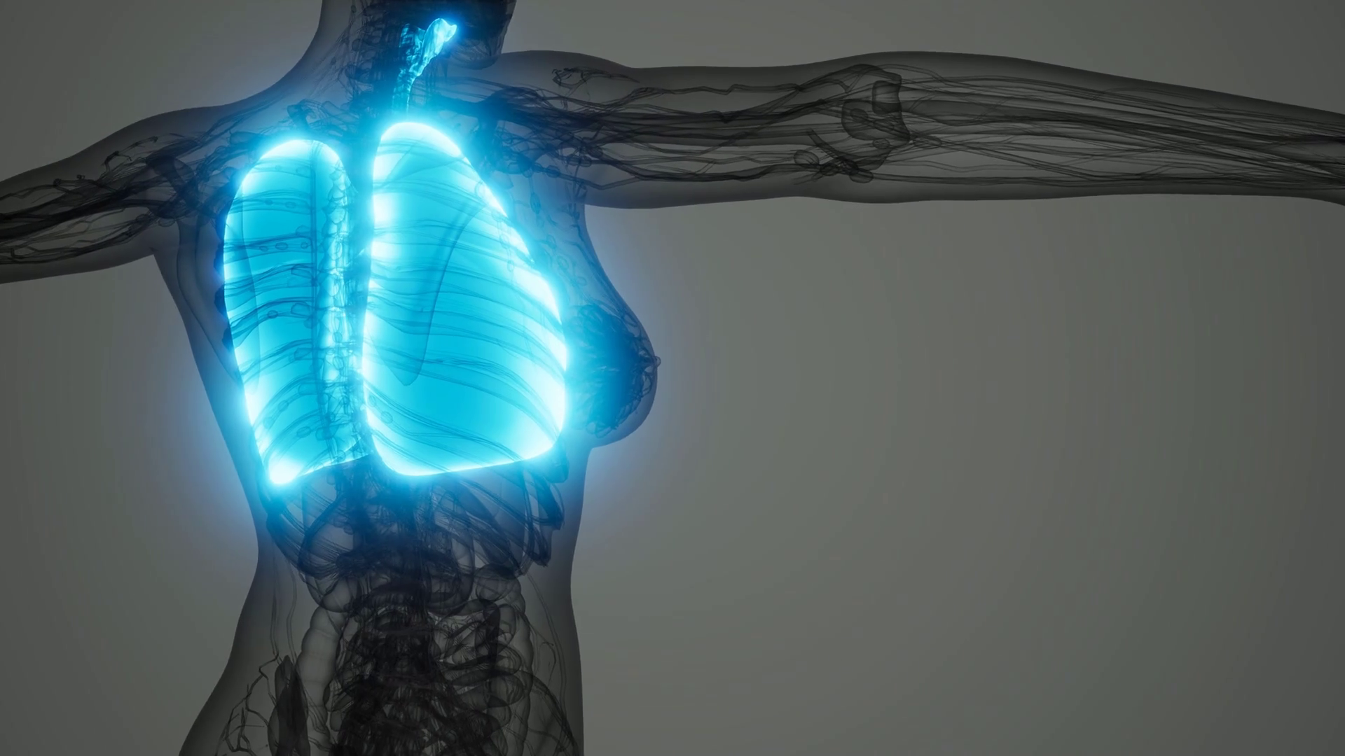 Science Anatomy Scan Of Human Lungs Stock Motion Graphics SBV-348556403 ...