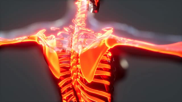 Nerve Pain Animation Stock Footage: Royalty-Free Video Clips - Storyblocks