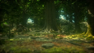 the primeval forest with mossed ground