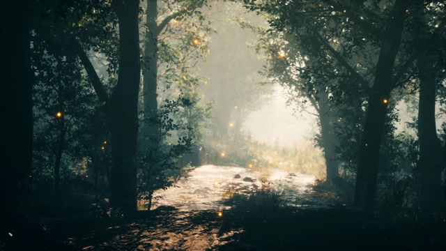 Shadow Fall | Effects and Overlays motion backgrounds - Storyblocks