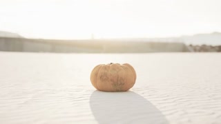 Halloween Pumpkin on the beach dunes