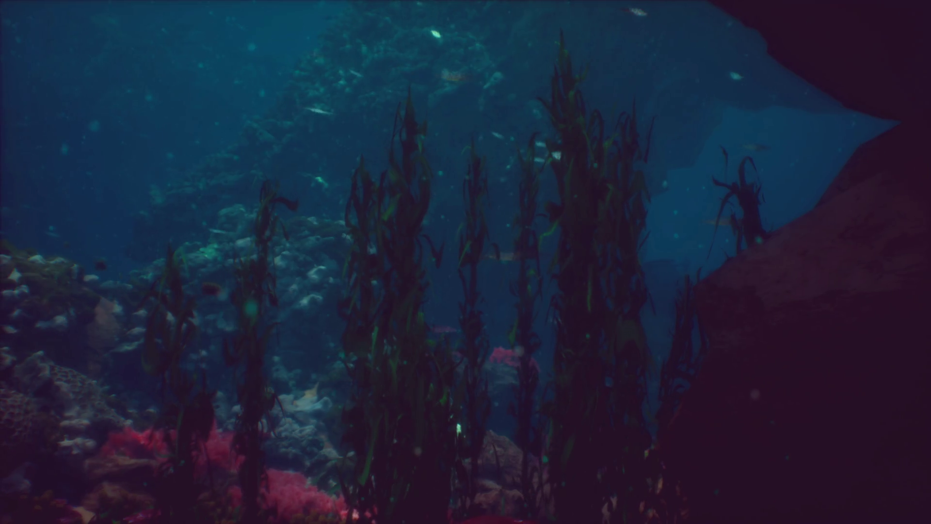 Shallow Ocean Floor With Coral Reef Fish Stock Motion Graphics SBV ...