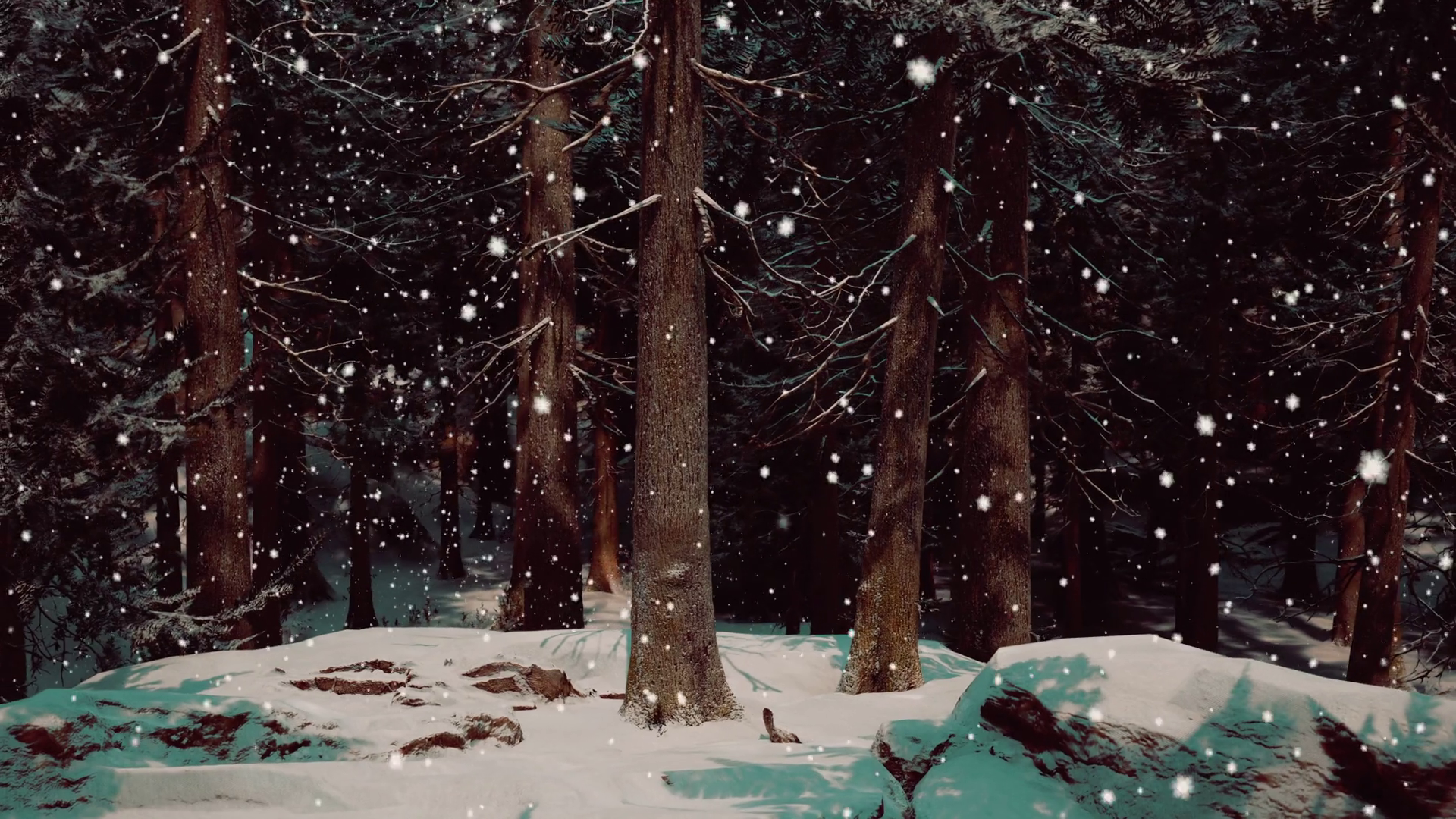 Winter Forest In Snow Stock Motion Graphics SBV-348427298 - Storyblocks