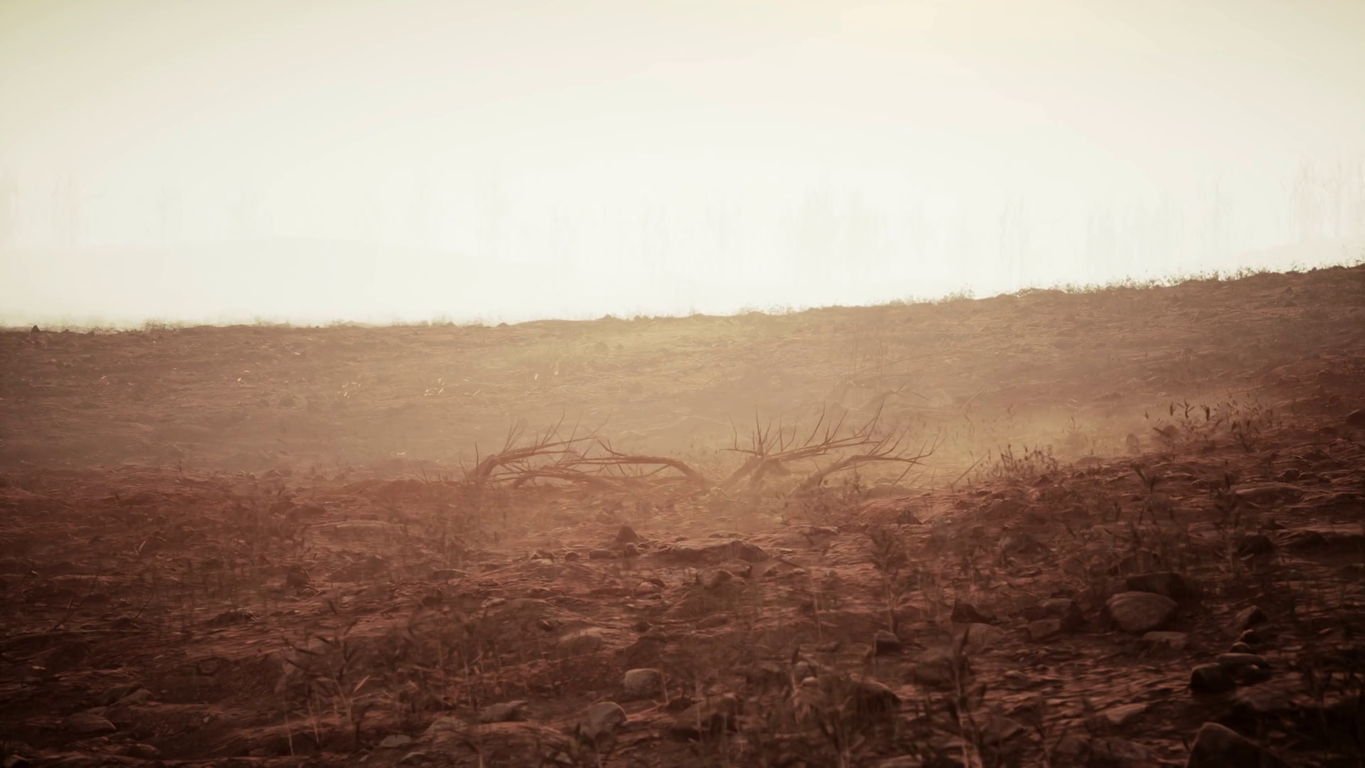 camowabb desert sand black dust