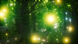 Firefly Flying in the Forest