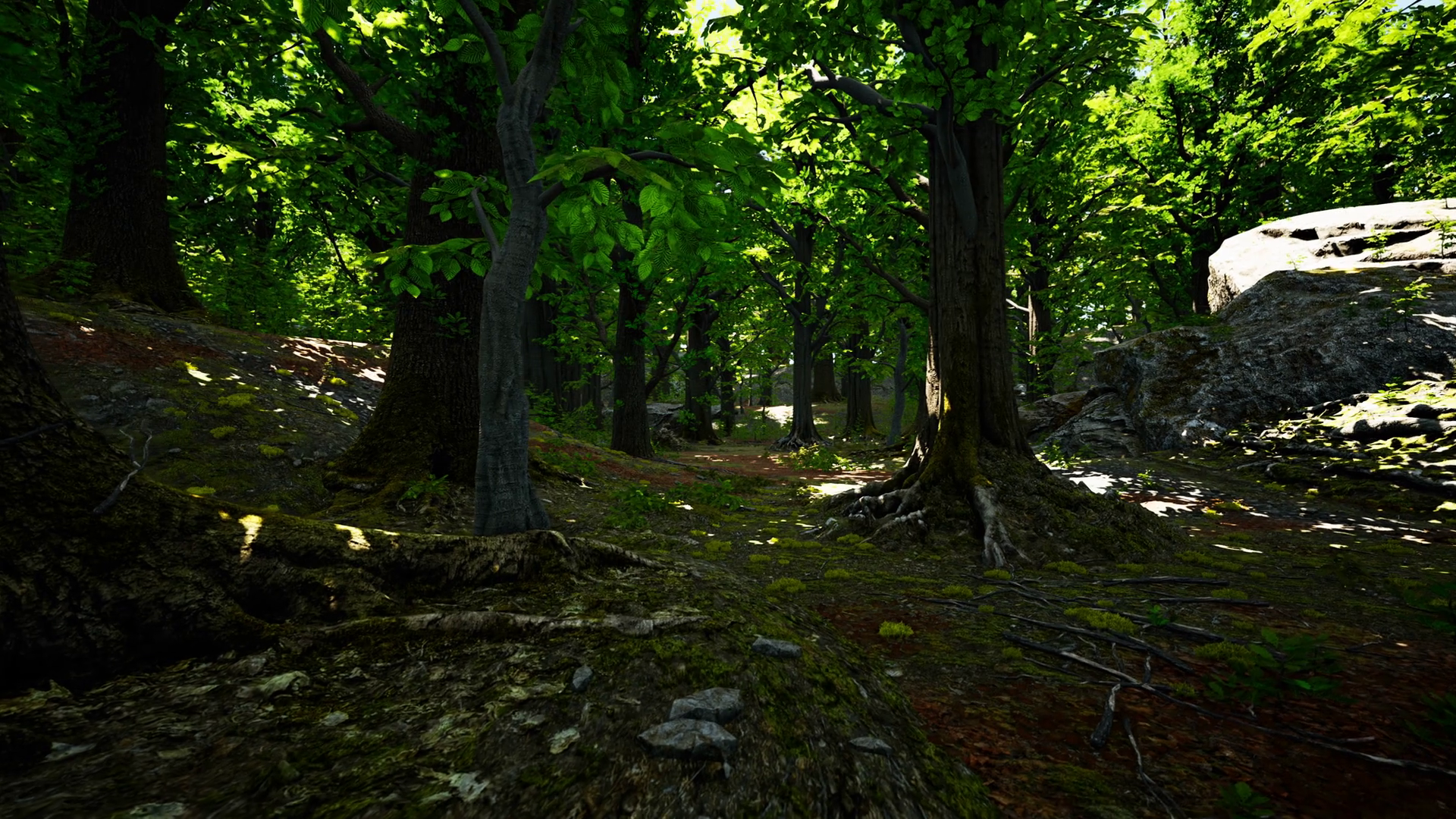 A Scenic Forest Path Surrounded Towering Stock Motion Graphics SBV ...