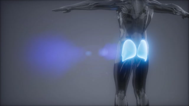List Animation Stock Footage: Royalty-Free Video Clips - Page 2 ...