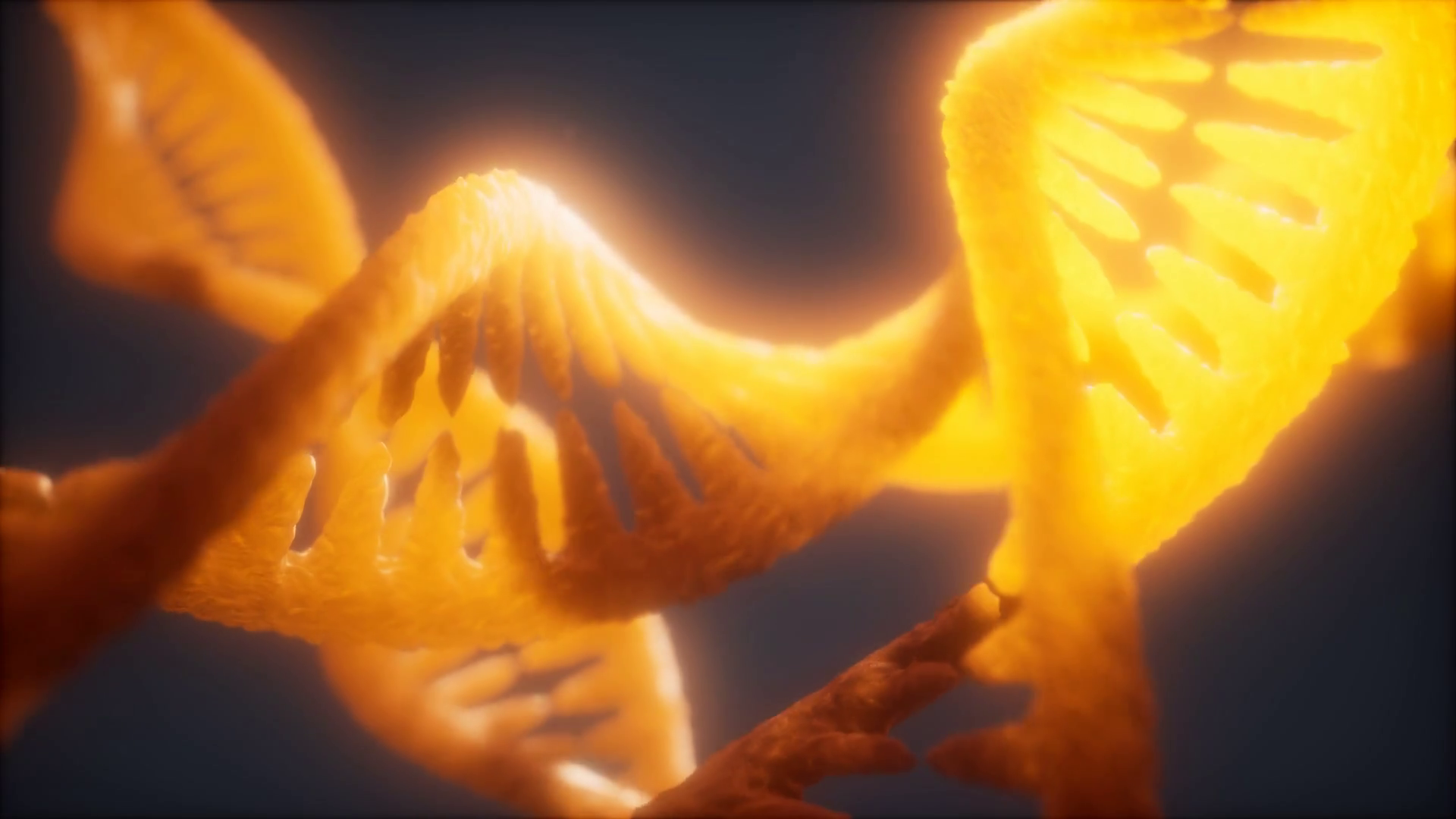 Loop Double Helical Structure Of Dna Strand Stock Motion Graphics SBV ...