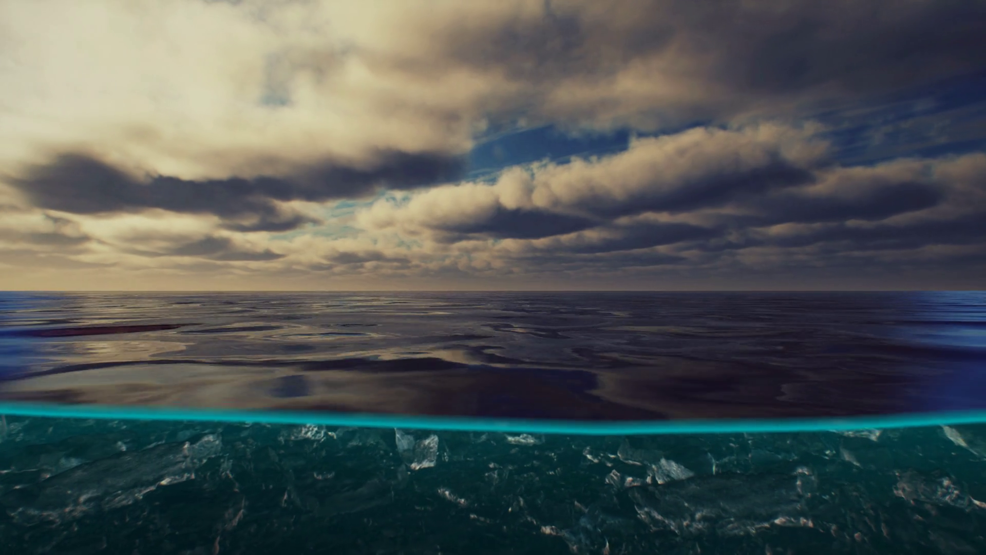 Split View Over Under Water In Caribbean Sea Stock Motion Graphics SBV ...