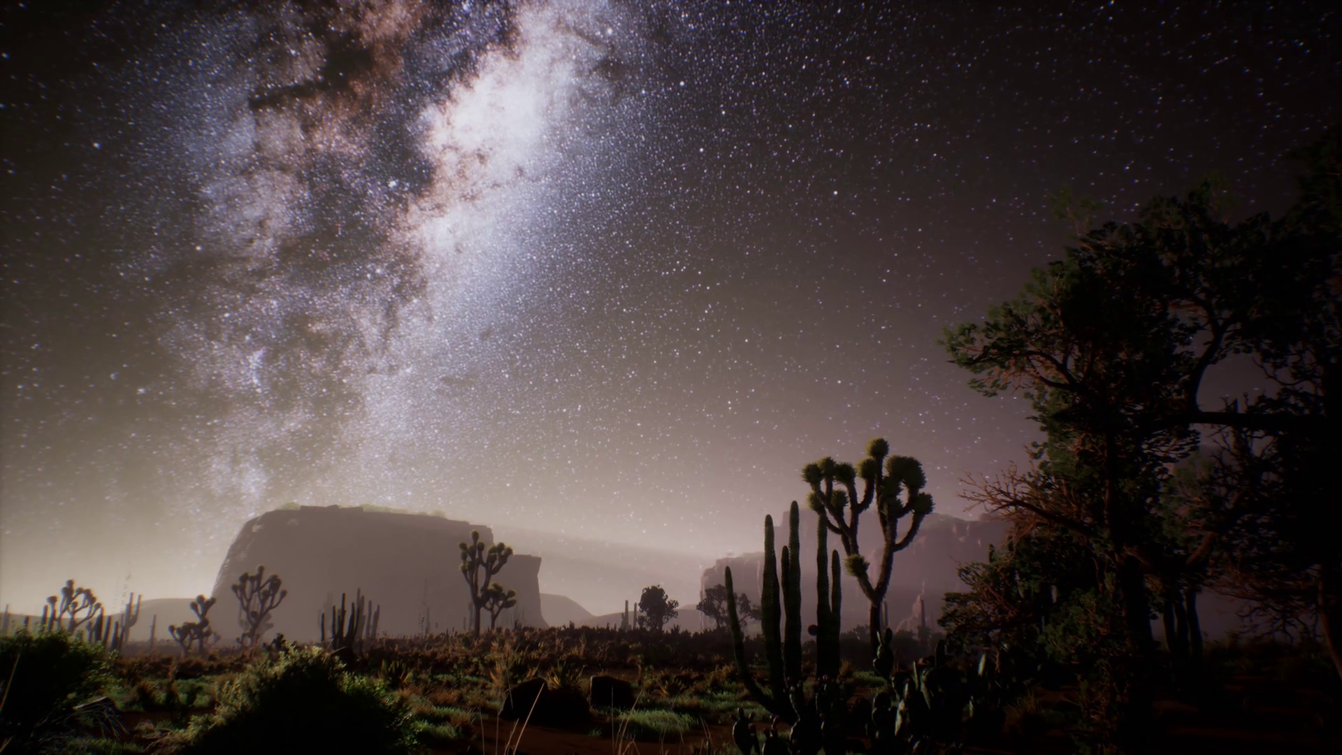 The Milky Way above the Utah desert, USA Stock Video Footage 0010 SBV
