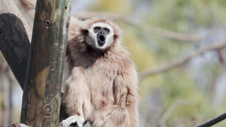 Romantic young couple kissing on rocks by sea