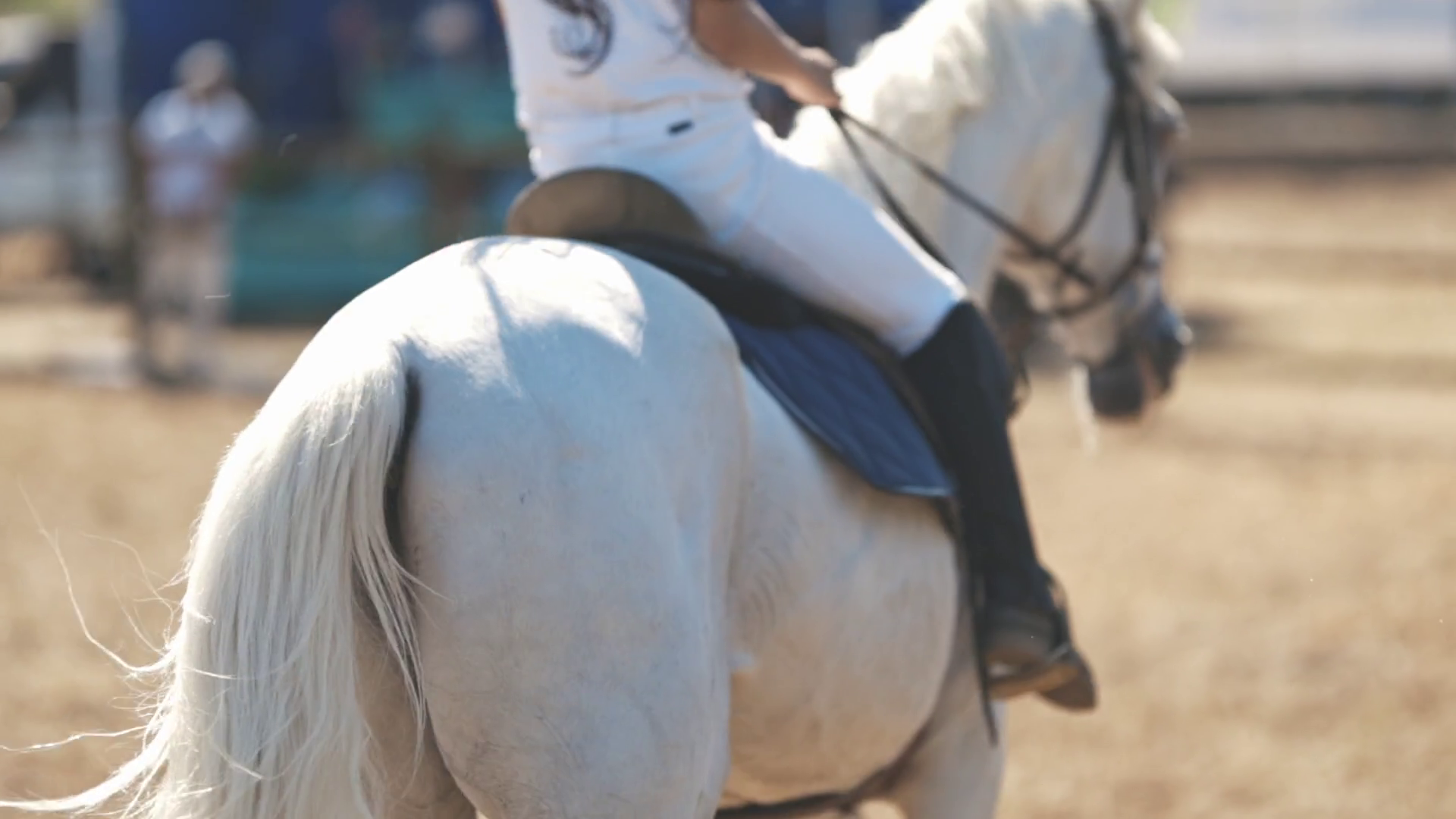 Equestrian Sport Child Riding Horse In Stock Footage SBV347681566