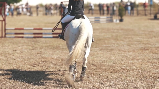 Woman Spurs Horse Stock Footage: Royalty-Free Video Clips - Storyblocks