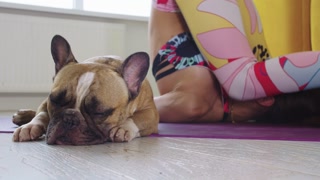 A woman doing exercises on the floor near her pet dog