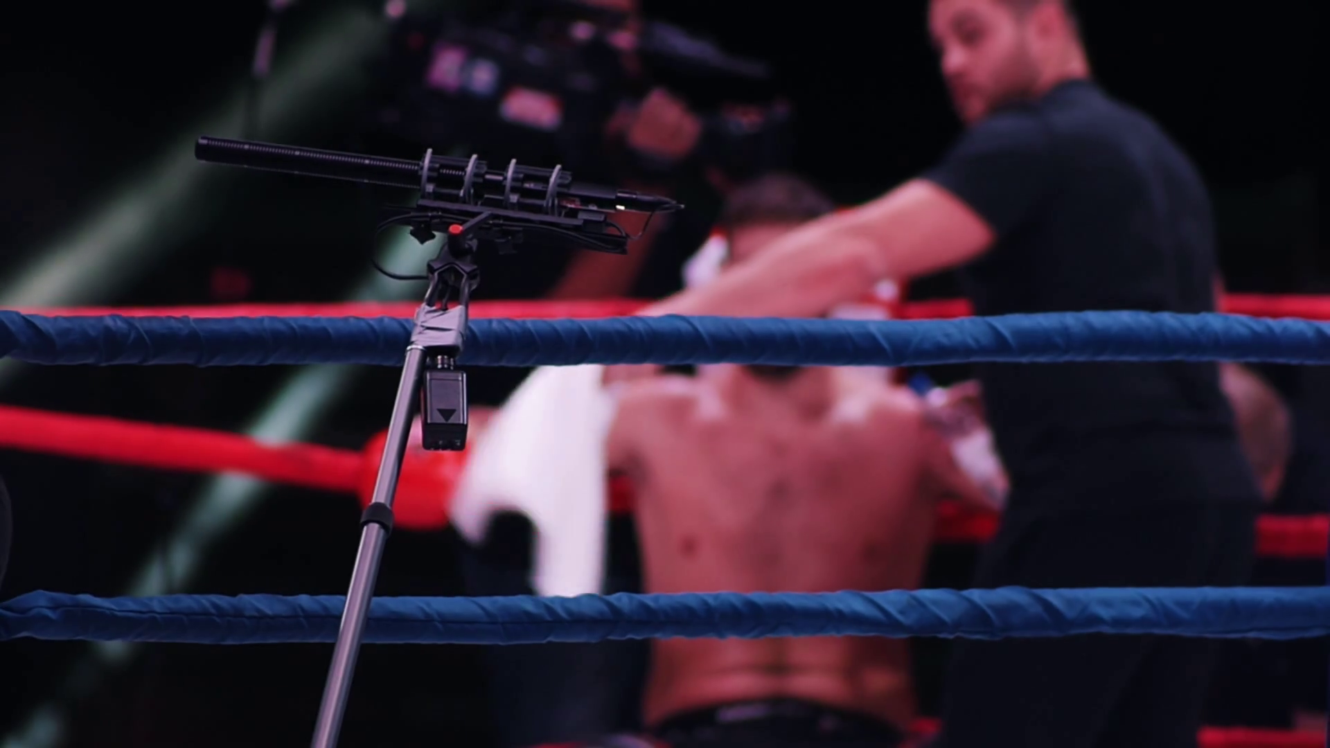 Boxer On Ring Boxer Getting Rest Stock Footage SBV328890655 Storyblocks