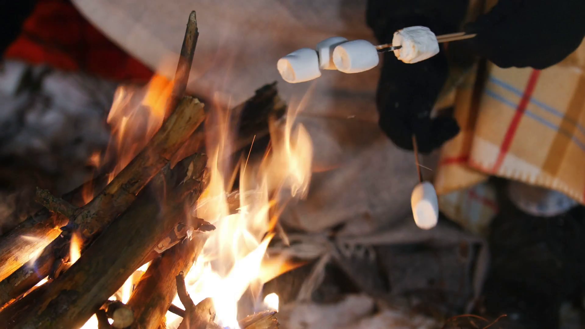 Frying Marshmallow On Bonfire In Forest Stock Footage SBV330677110