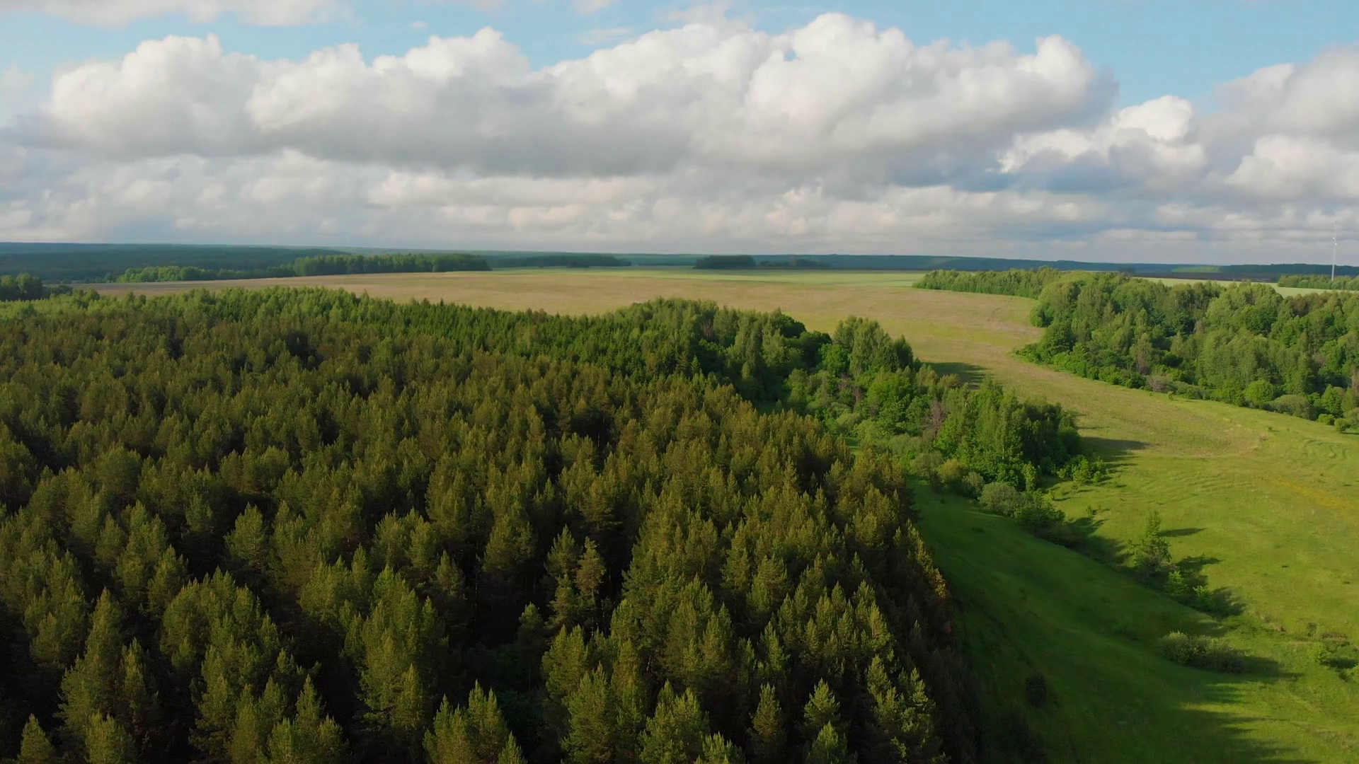 Green Open Field Forest With Blue Sky Above Stock Footage SBV-338522787 ...