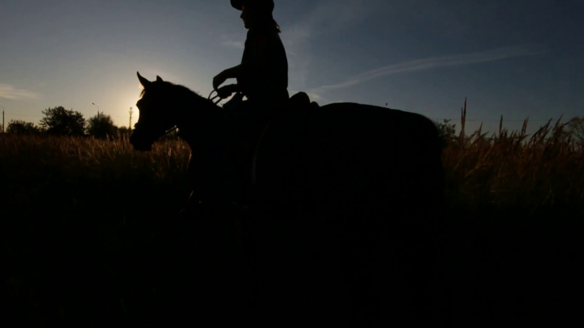Horse Rider Walking At Sunset Silhouette Stock Footage SBV316954796