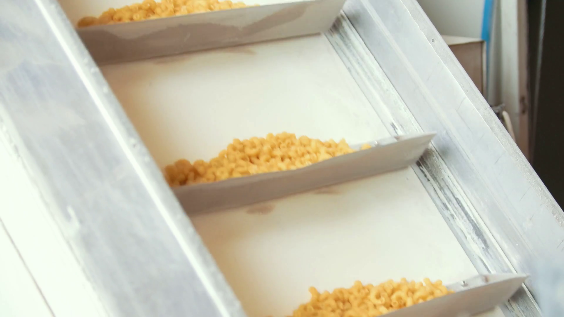Raw macaroni at the production line in a pasta factory Stock Video