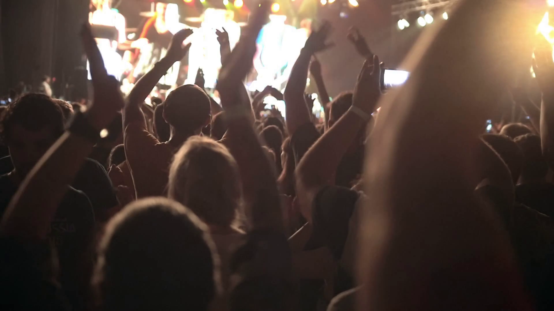 Spectators at the concert slowmotion Stock Video Footage 0011 SBV