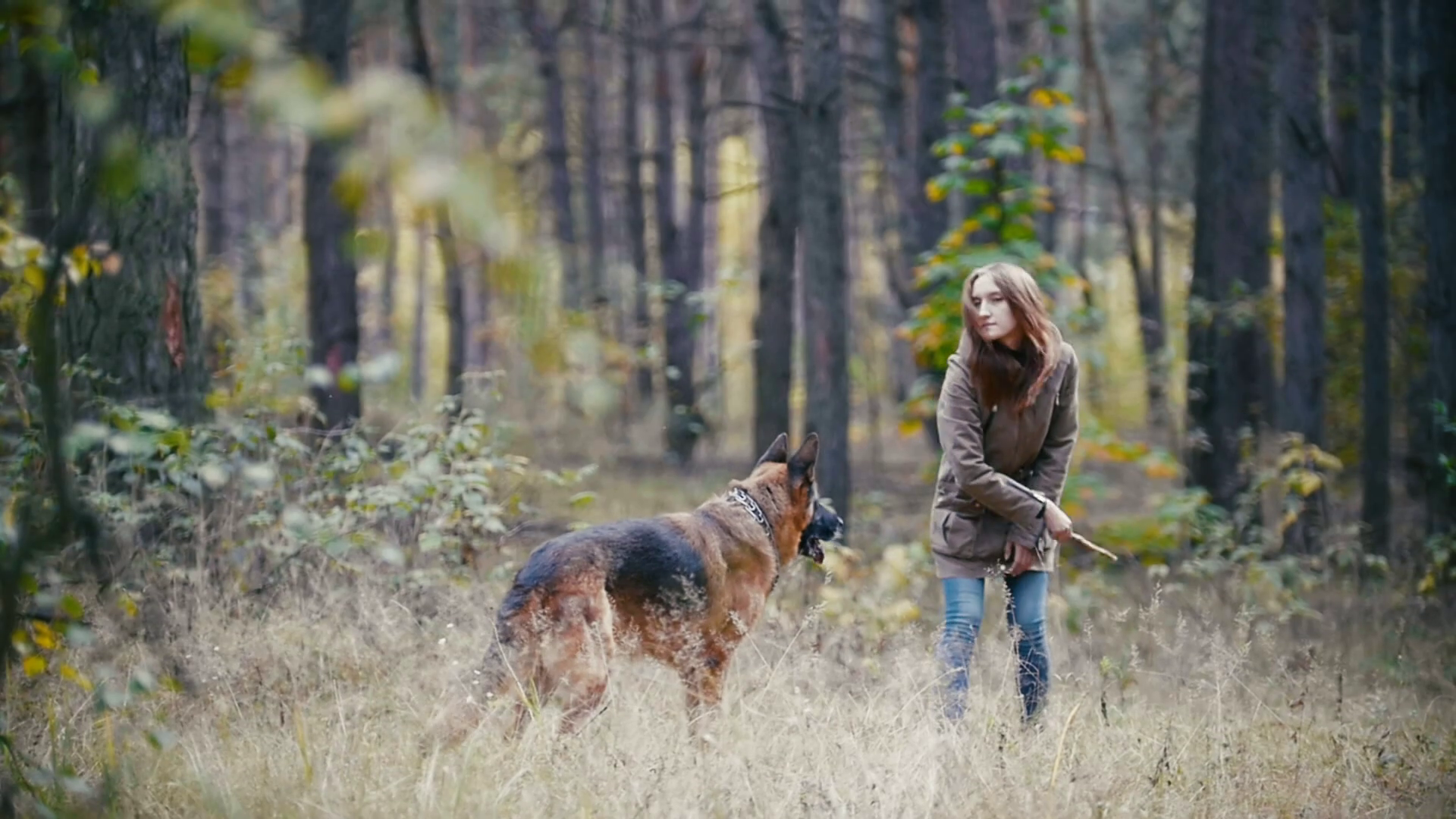 Young attractive woman with red hair playing with her pet - german shepherd - walking at autumn forest