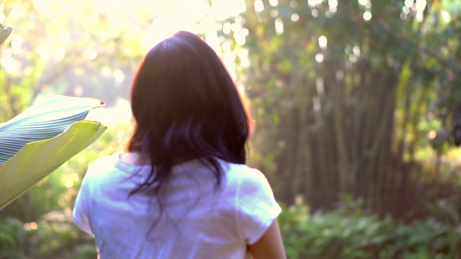 Slow Motion Back Shot Of Asian Woman Walking Stock Footage SBV ...