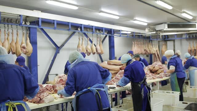 Meat Packing Stock Footage: Royalty-Free Video Clips - Storyblocks