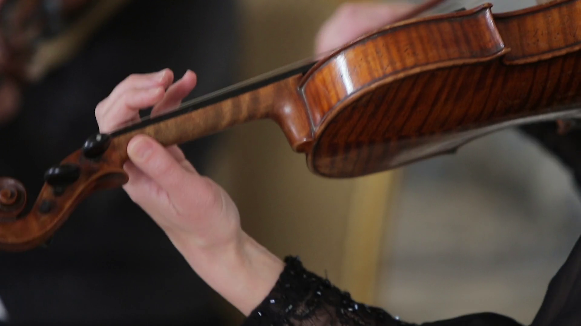 The musician plays the violin Stock Video Footage Storyblocks