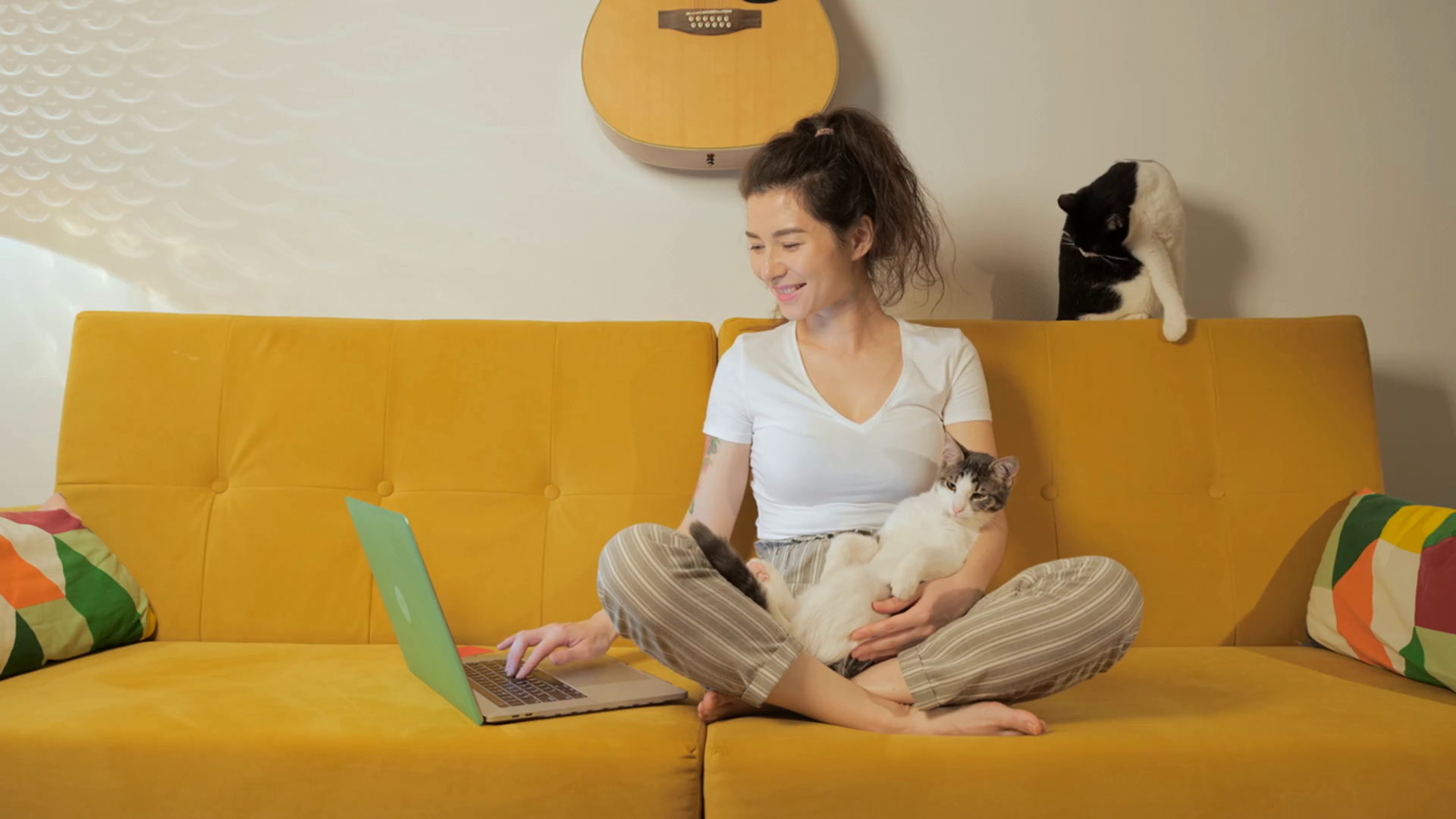 Woman Shopping Online Cat Food At Home Stock Footage SBV338903258