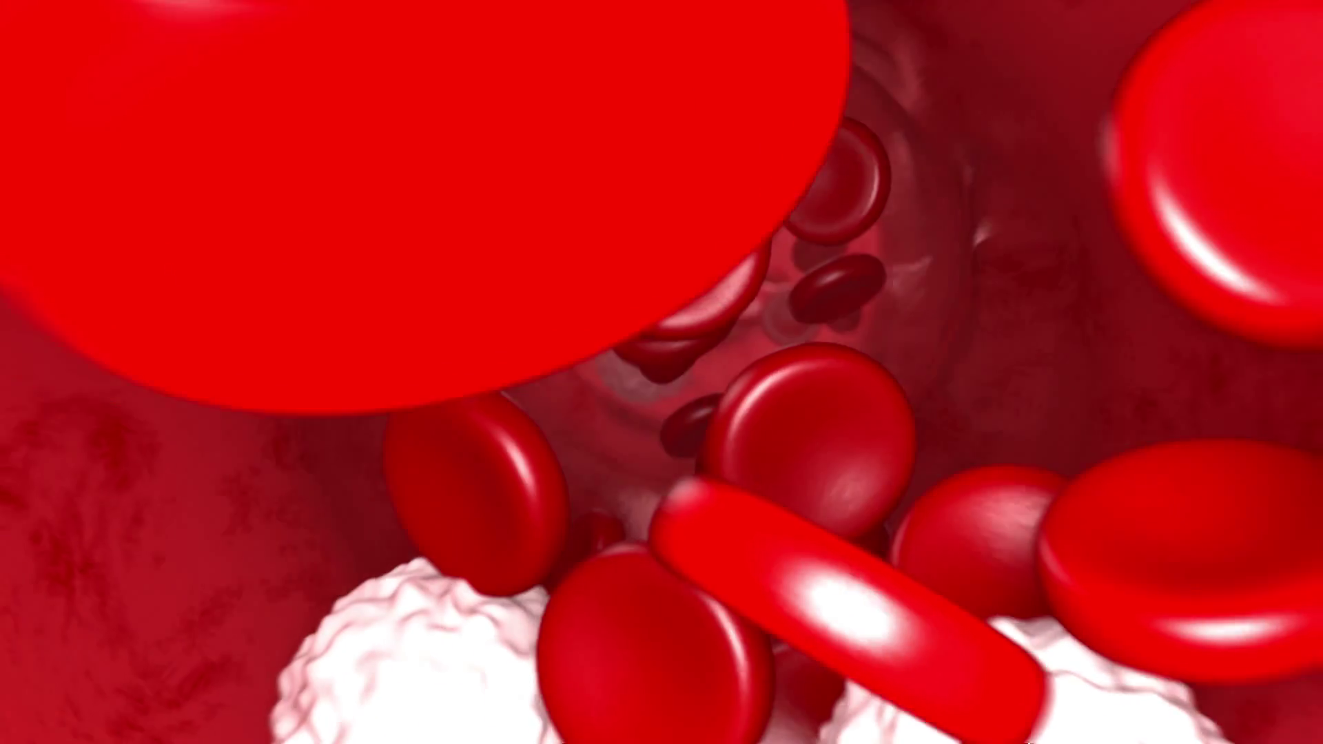 Blood Flow Animation 1080p Stock Motion Graphics SBV315380598