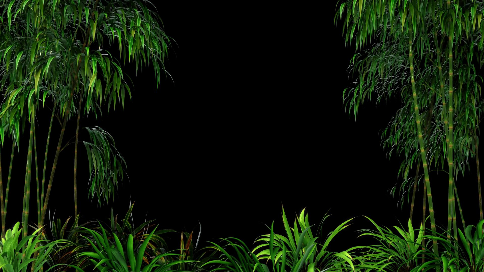 Looping Bamboo Forest Overlay 1080p Motion Background