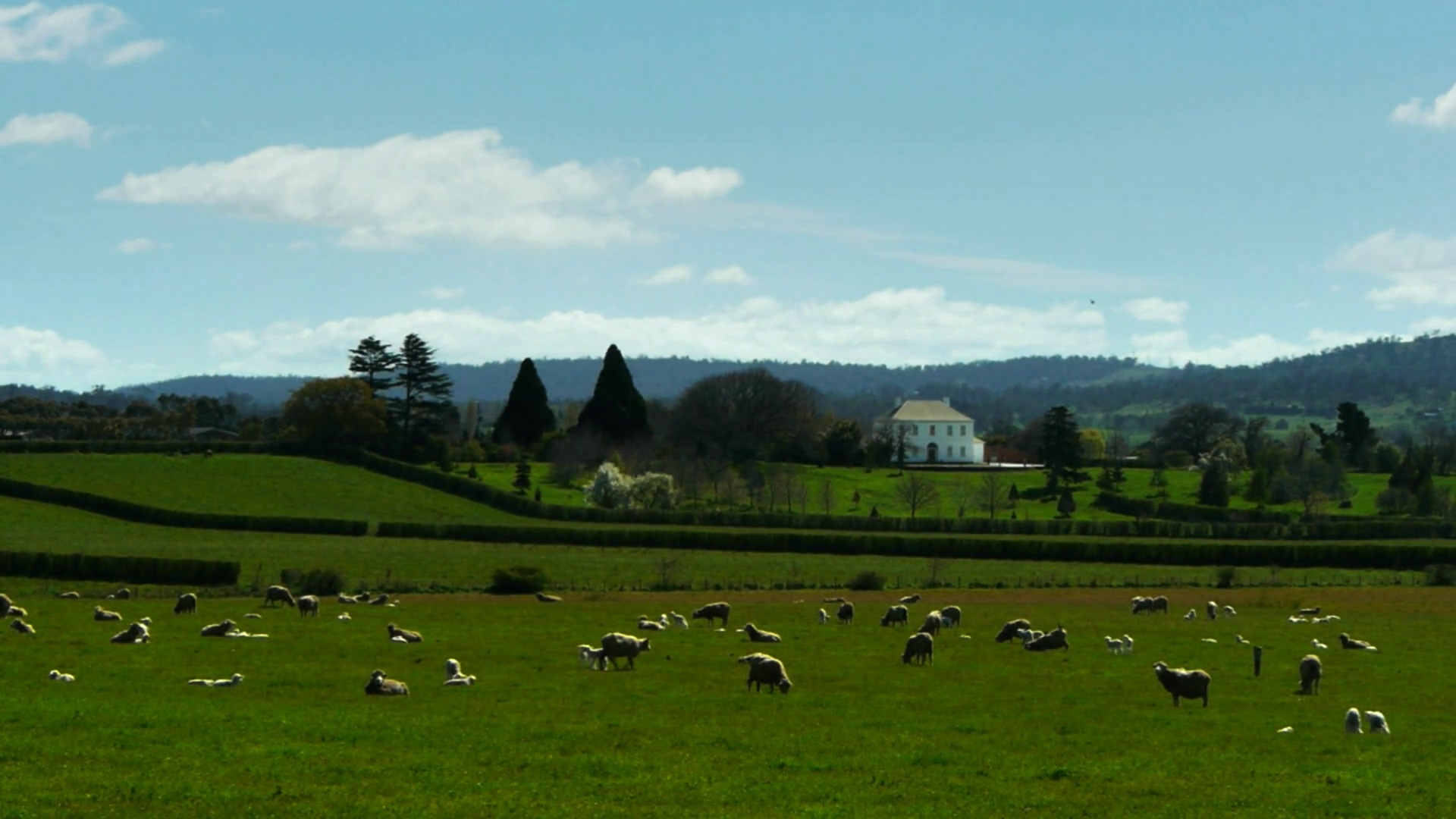 A Tranquil Rural Scene In North Of Tasmania Stock Footage SBV-353063951 ...