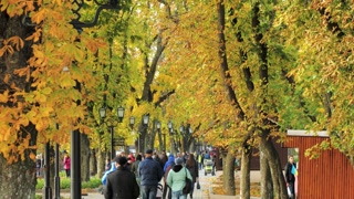 Park-e Shahr, City Park in Rasht Iran