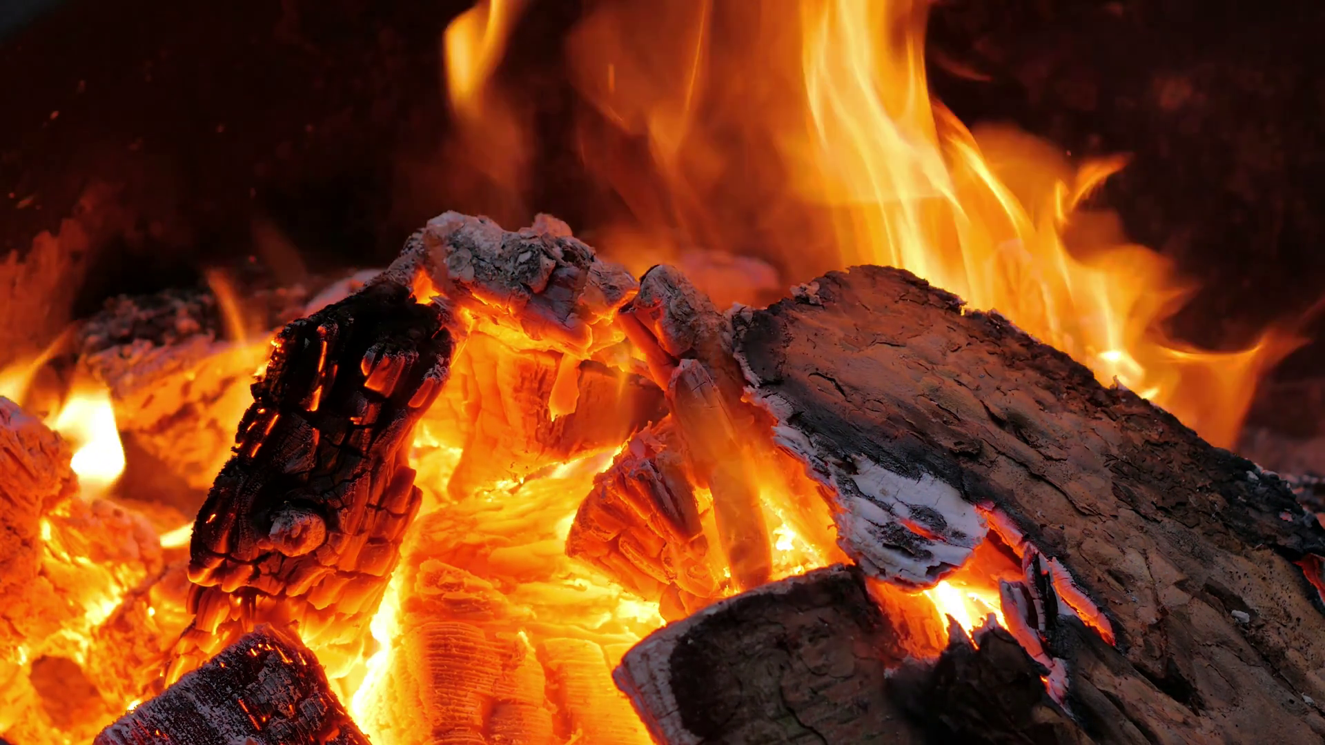 Fire Wood Burning In Furnace Stock Footage SBV-352066032 - Storyblocks