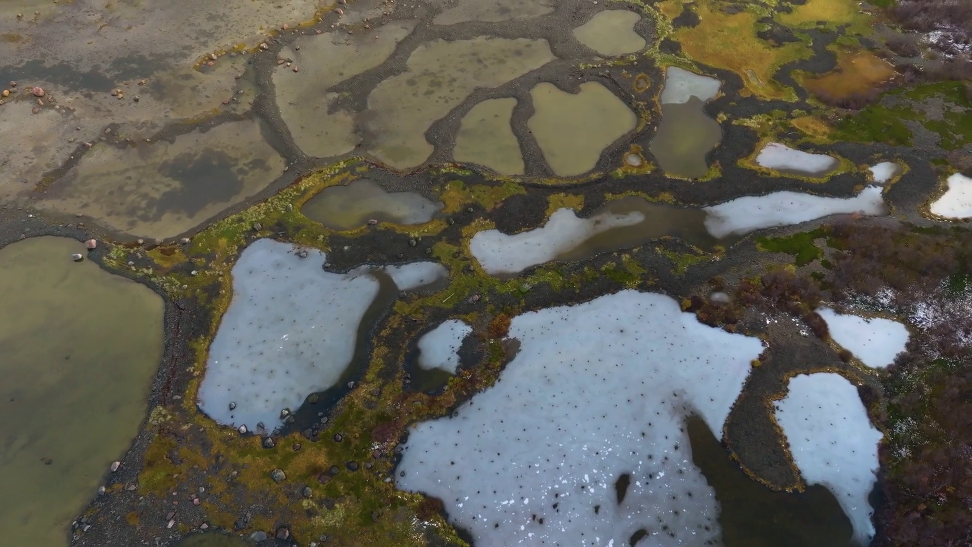 Drone Footage Of Marsh Wetland Ecosystem Stock Footage SBV-352143052 ...
