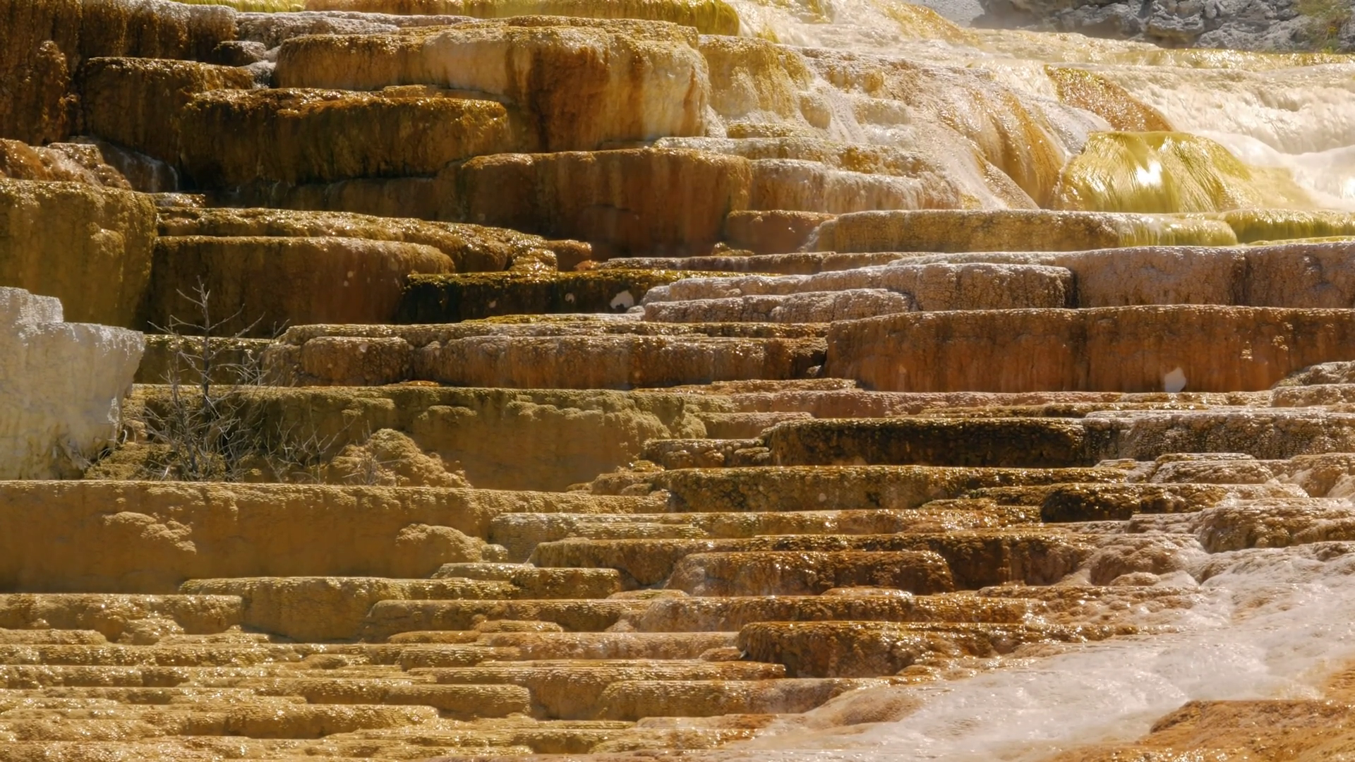 Terraces Of Mammoth Hot Spring Made Calcium Stock Footage SBV-352089698 ...
