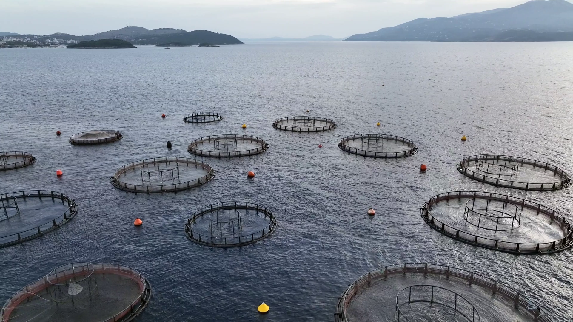 Offshore Aquaculture Fish Farming Circle Stock Footage SBV-352736643 ...