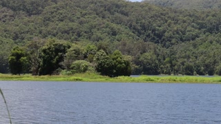 Serene Lake and Lush Forest Scenery