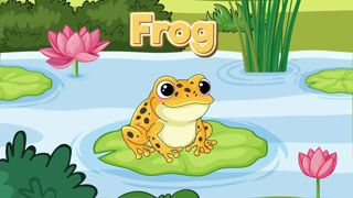 Animated Cartoon Yellow Frog Sitting on a Lily Pad in a Pond