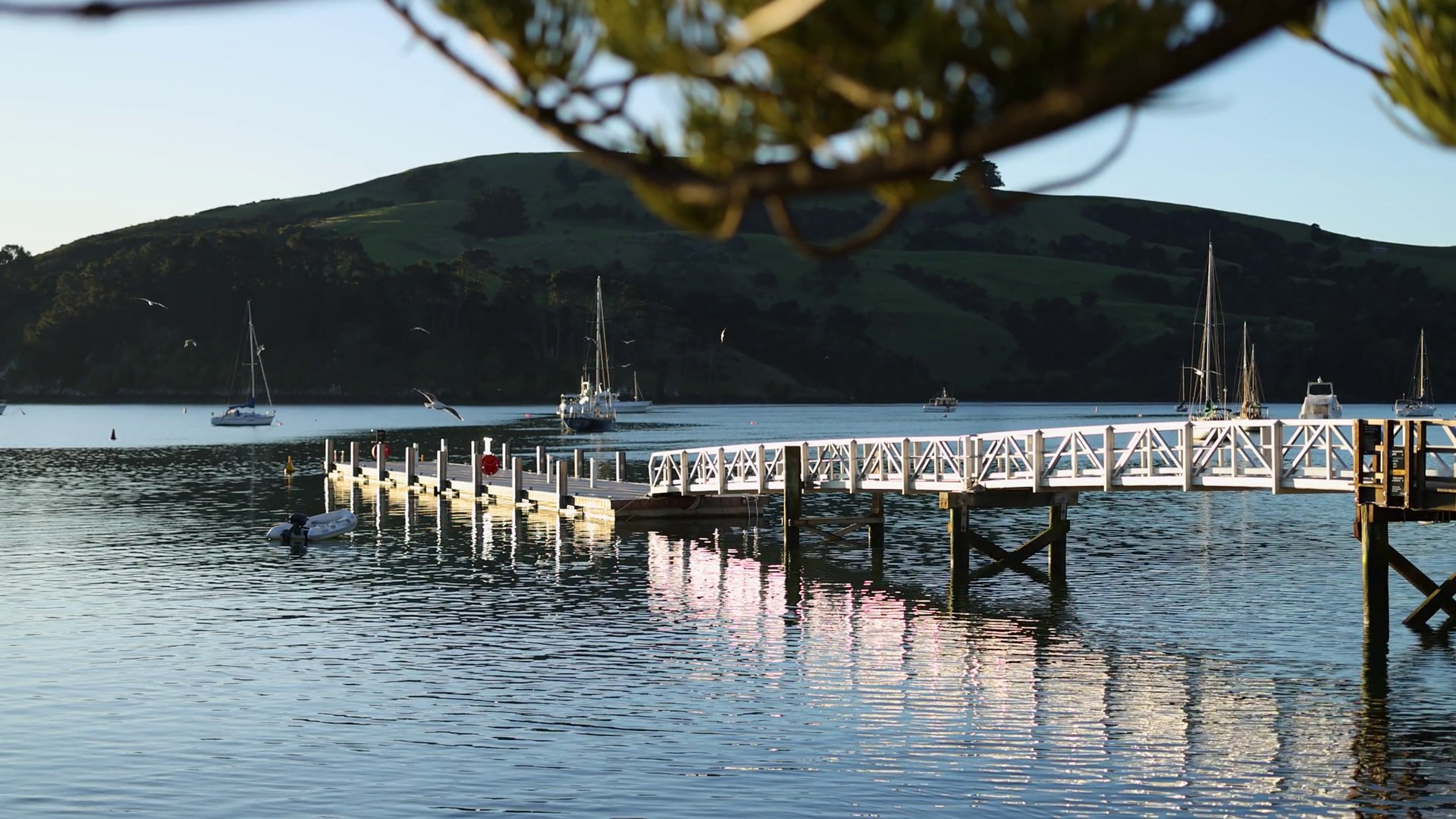 Serene Pier Boats In Akaroa New Zealand Stock Footage SBV-352519550 ...