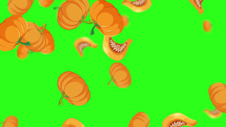 Looping Rain of Cartoon Pumpkins on Green Screen