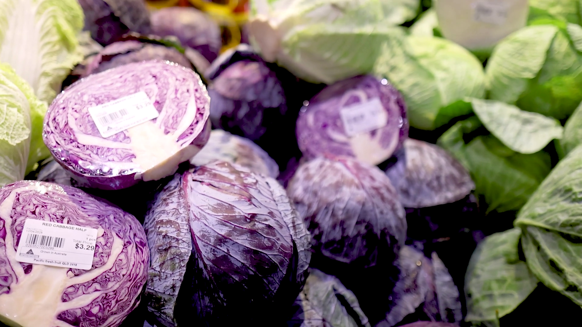 Vibrant Red Cabbage Display In Gold Coast Stock Footage SBV-352295329 ...