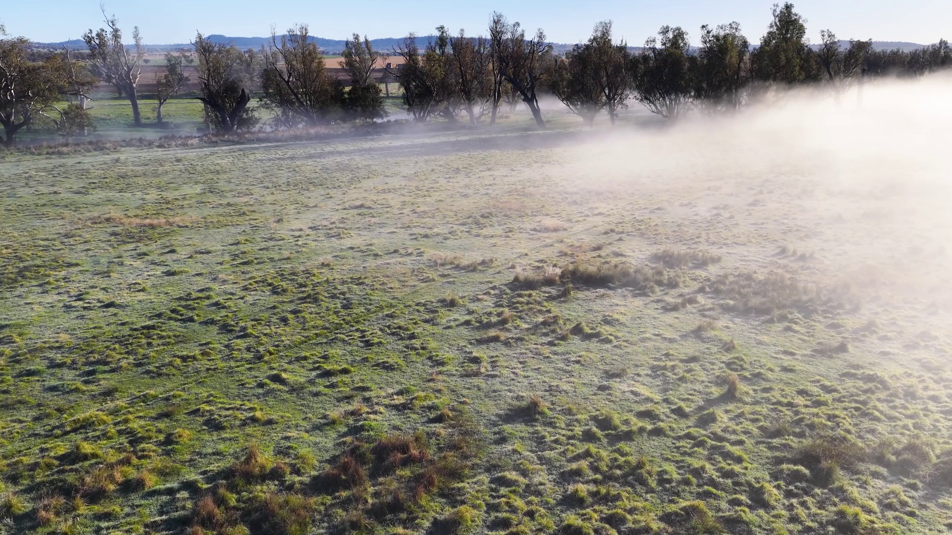 Morning Fog Rolling Over Misty Meadow In Stock Footage SBV-352583252 ...