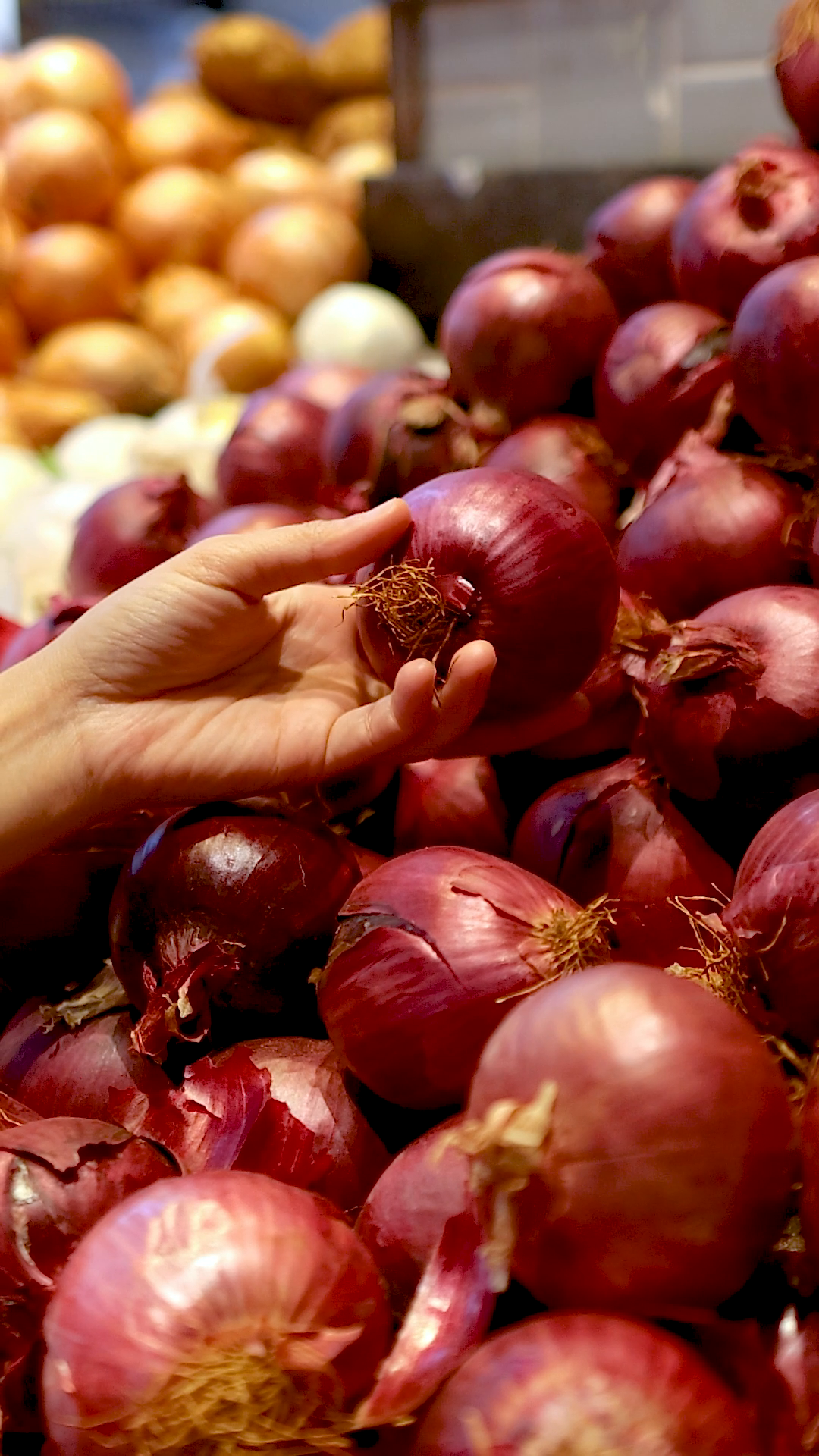 Selecting Red Onions At Gold Coast Stock Footage SBV-353256720 ...